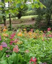 Aberglasney Gardens, one of the many Gardens to see in and around the Brecon Beacons