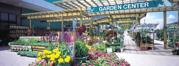 Tourist Information Guide for Buying Plants and Gardening Items in and around the Brecon Beacons.