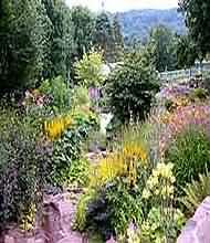The Nurtons is a 2.5-acre plants man’s garden that continues to develop