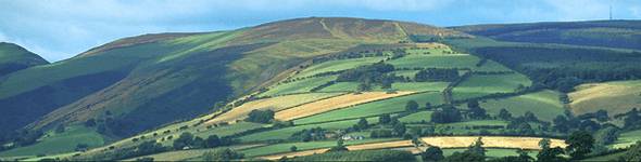 In the east of the Park are the Black Mountains
