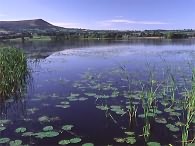 Llangorse Lake is only a few miles to the east of our Beacons